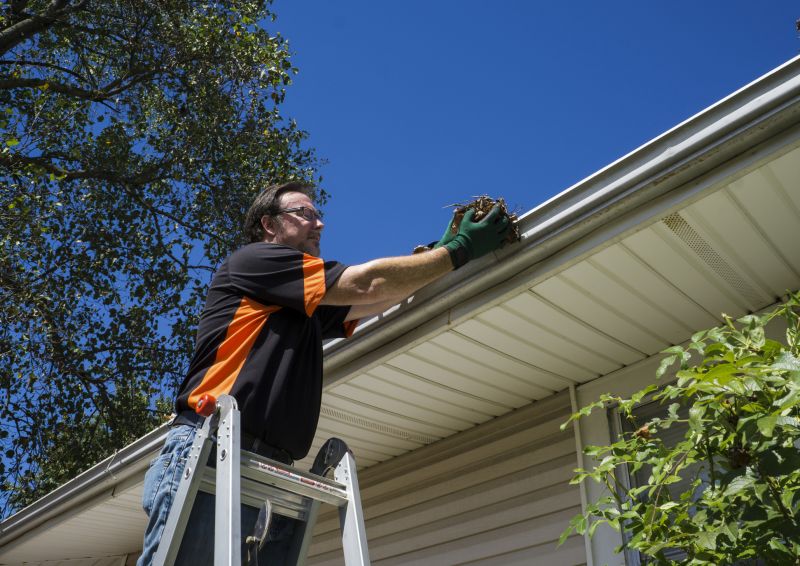 Gutter and Debris Removal